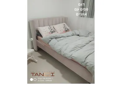 דגם פסים עם אוזניים