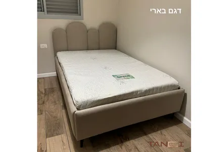 דגם בארי